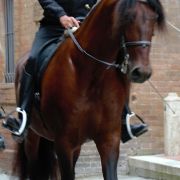 Andrea Bocelli a Cavallo